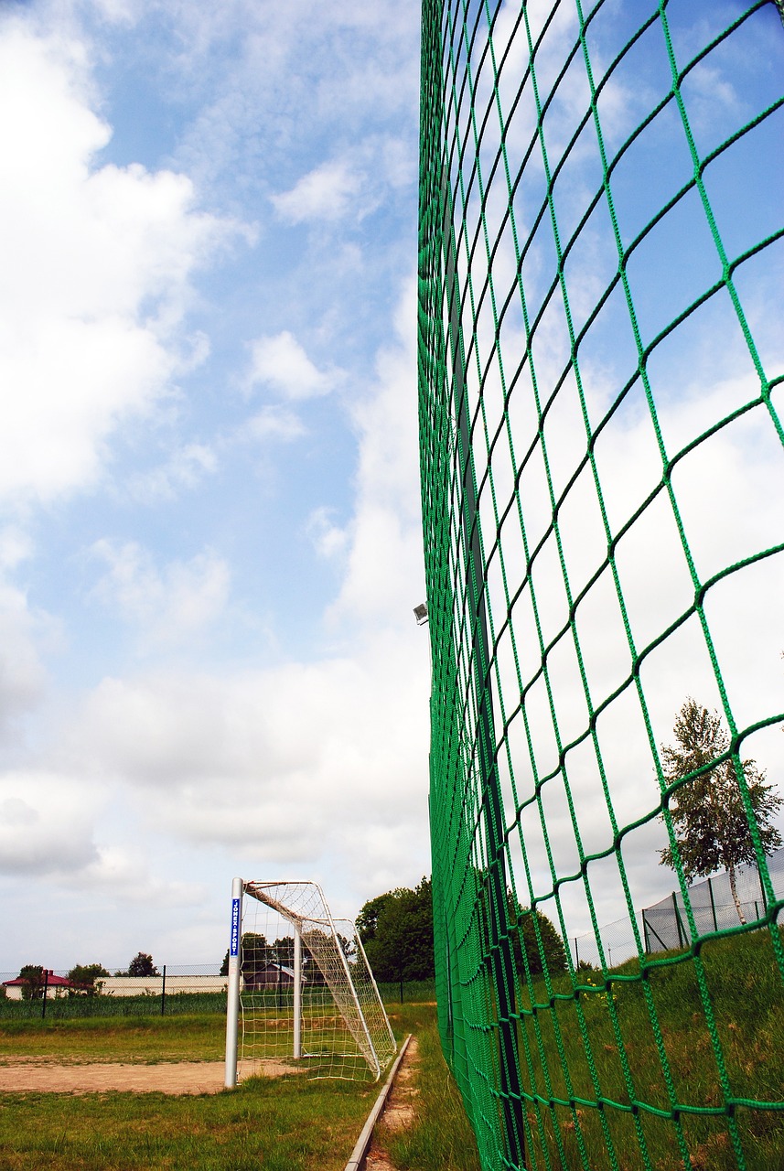 尔士的边锋 尔士的边锋