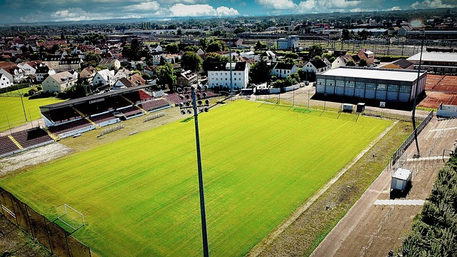 强的斗志和 强的斗志和