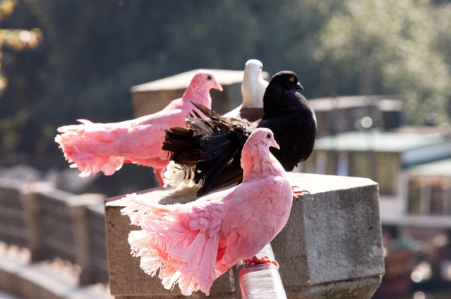 有所欠缺 有所欠缺