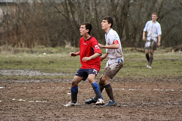 措不仅能提 措不仅能提