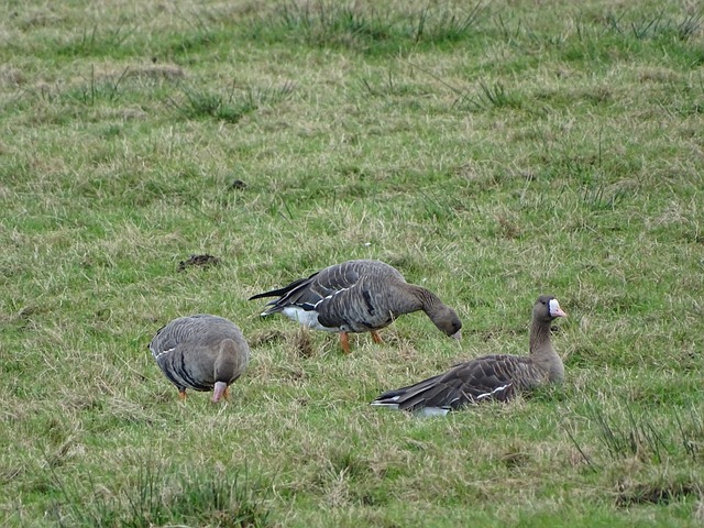 这一隐患得 这一隐患得