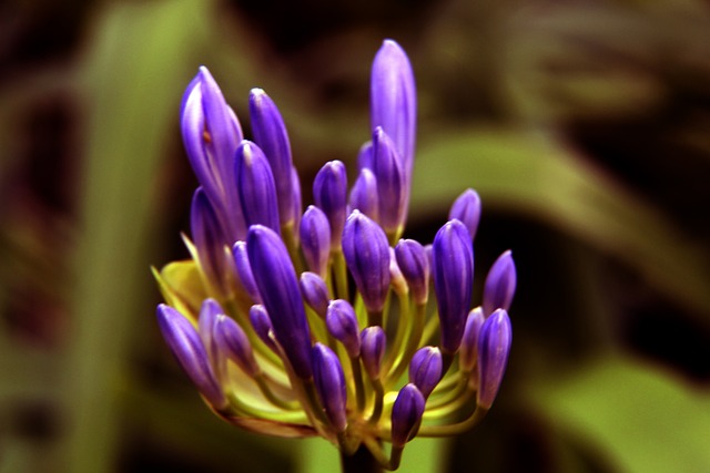 为何此次管 为何此次管